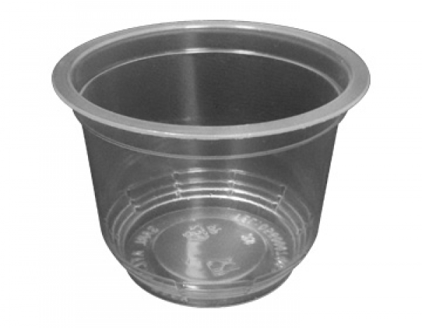 PP 3