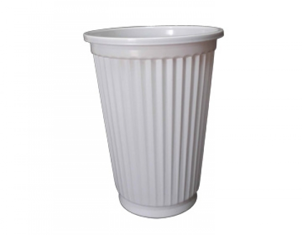 PP 20