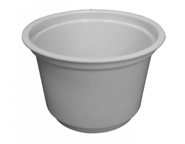 PP 7